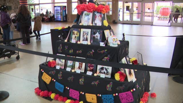 Milwaukee students create pet ofrenda for Día de los Muertos