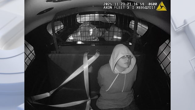 Slender Man stabbing: Morgan Geyser escapes, group home neighbors react