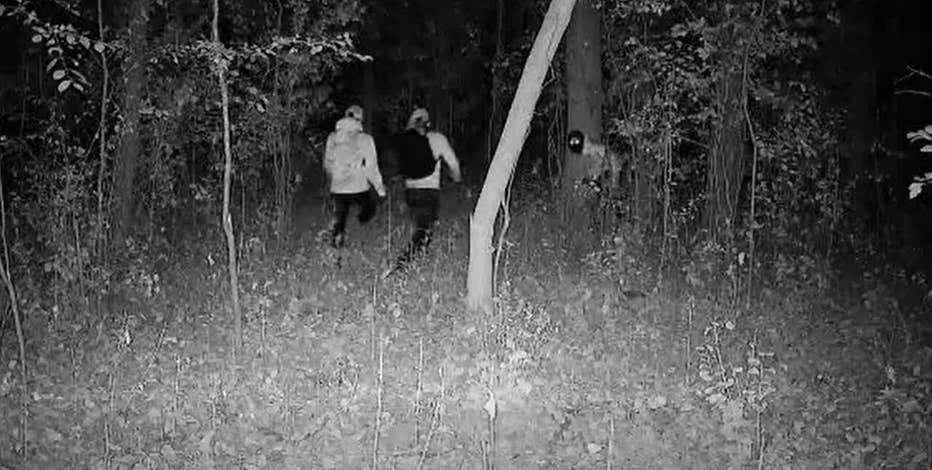 Mequon burglary spike; trail camera captures possible burglars