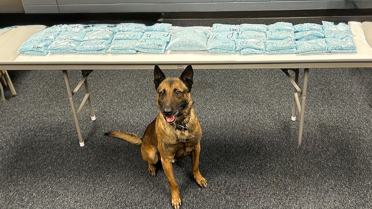 'Historic' fentanyl seizure in Manitowoc County; 43 lbs. worth $5.8 million