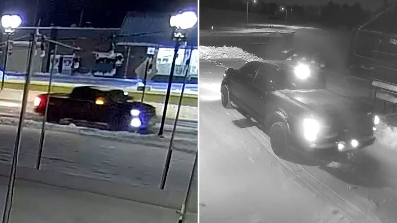 Sussex Village Park 'significant' property damage suspect sought