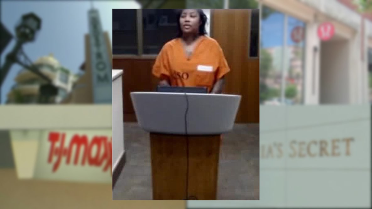 Woman accused in retail theft ring, used kids to steal items: police