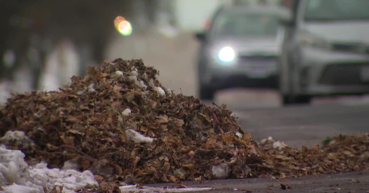 Milwaukee spring leaf cleanup; rake leaves into street before March 15