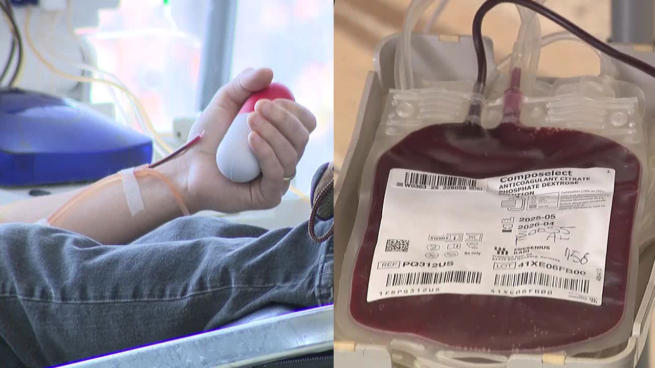 Holiday of Hope Blood Drive at Milwaukee County Zoo; giving gift