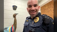 Slinger police recover stolen emu statue: 'This made international news'