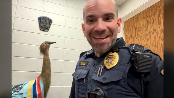 Slinger police recover emu statue stolen from Piggly Wiggly