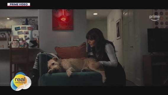 'Merv'; Gino at the Movies