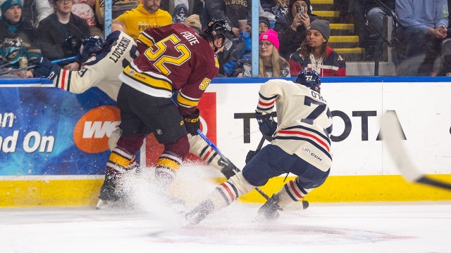 Milwaukee Admirals fall to Wolves, losing streak now 5 games