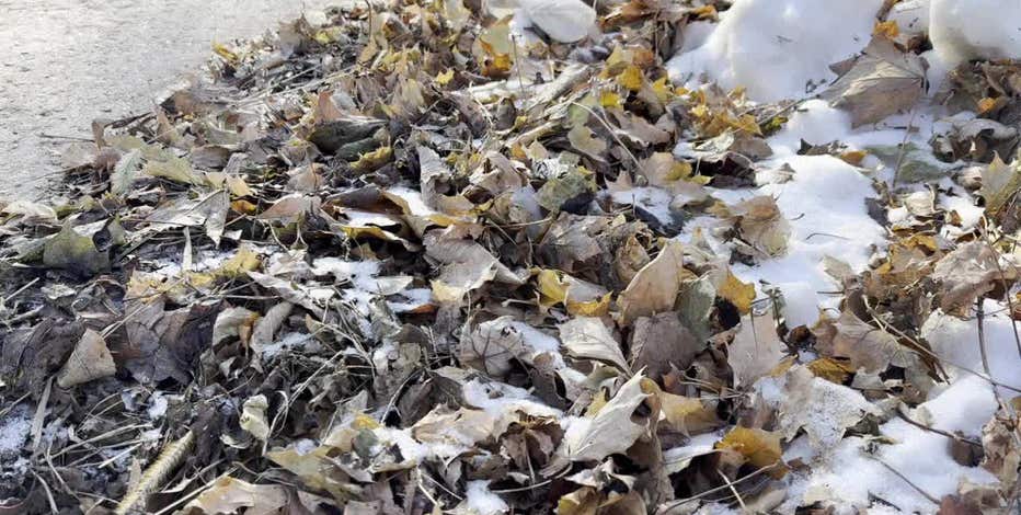 Milwaukee leaf collection resumes; what residents should know