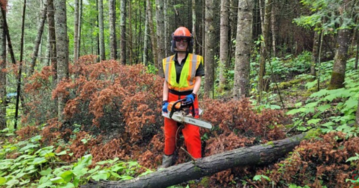 Wisconsin DNR now hiring state park system seasonal staff for 2026