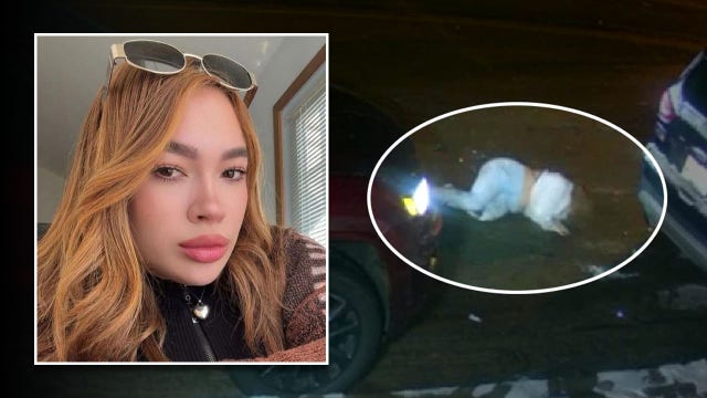 Milwaukee hit-and-run, mother seriously injured