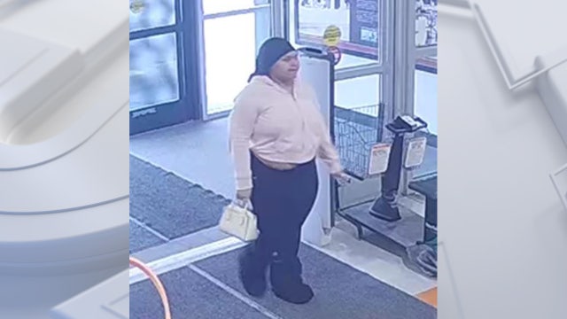 Brookfield Dick's Sporting Goods retail theft; police identify suspect