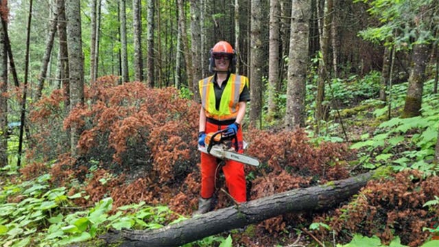 Wisconsin DNR now hiring state park system seasonal staff for 2026