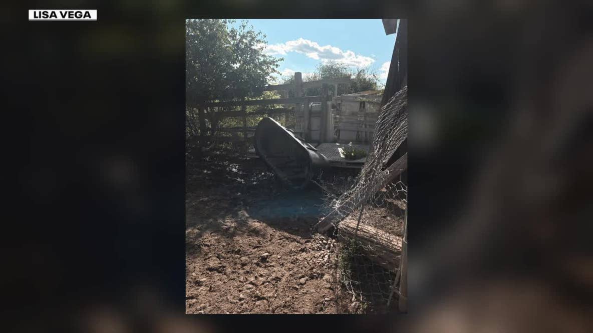 Mukwonago farm owner faces gun charges amid animal abuse investigation