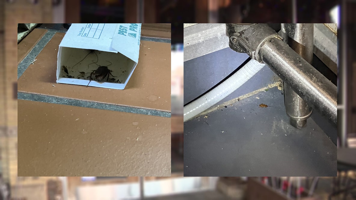 Milwaukee's Wicked Hop remains closed; additional roach activity found