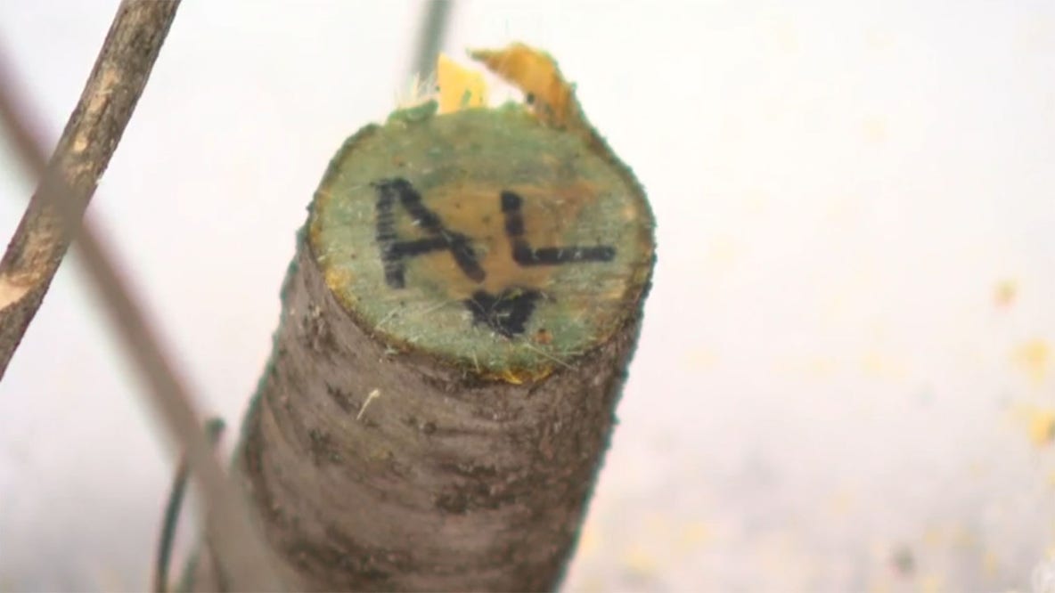 Heartbreak is healing habitat in Waukesha County; here's how