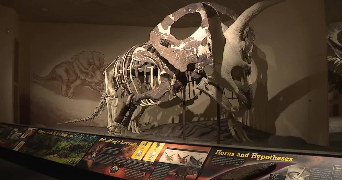 Milwaukee Public Museum begins massive move of 4 million items