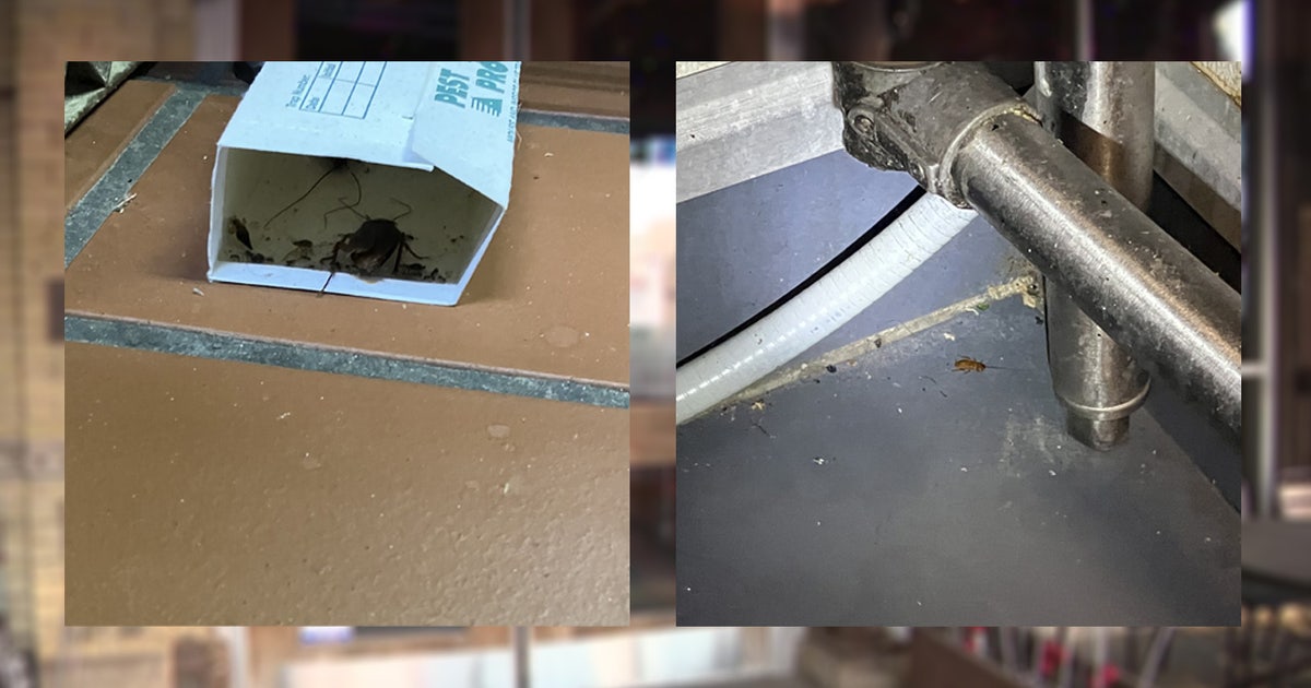 Milwaukee's Wicked Hop remains closed; additional roach activity found