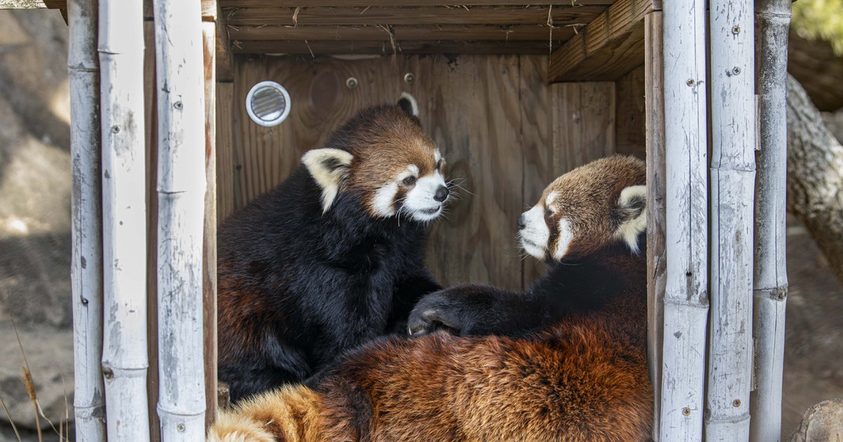 Milwaukee County Zoo Family Free Day set for Saturday, Feb. 7