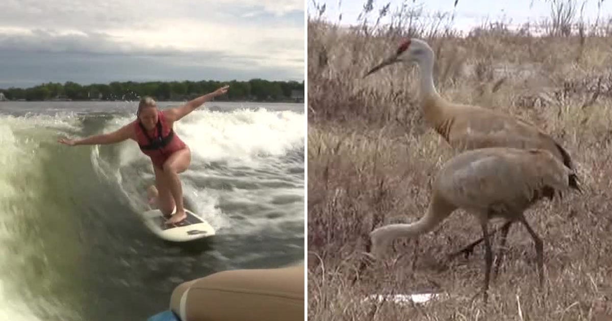 Wisconsin bill to regulate wakesurfing changed – to authorize a crane hunt