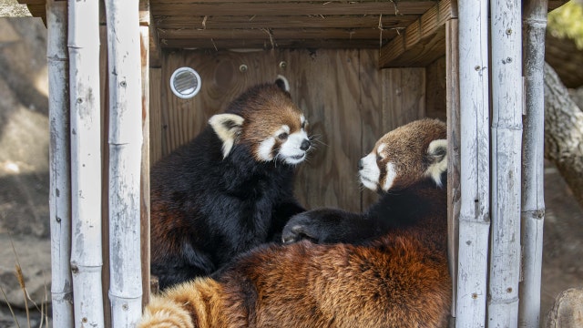 Milwaukee County Zoo Family Free Day set for Saturday, Feb. 7