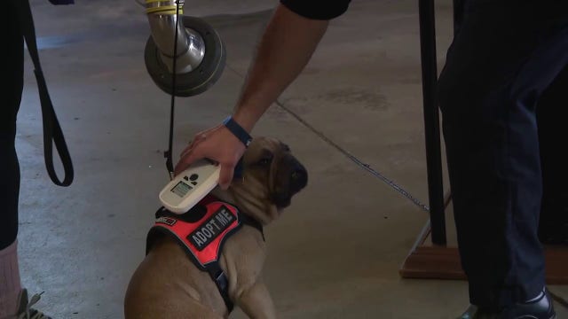 Milwaukee Fire Department: Microchip scanners in use at all stations