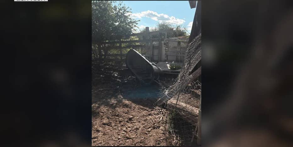 Mukwonago farm owner faces gun charges amid animal abuse investigation