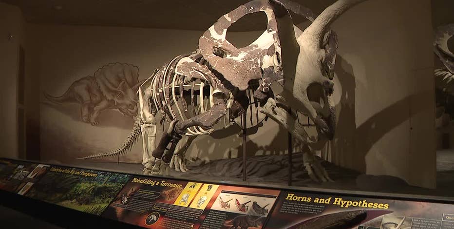 Milwaukee Public Museum begins massive move of 4 million items