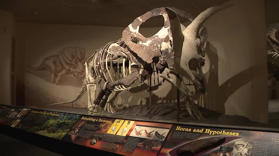 Milwaukee Public Museum begins massive move of 4 million items