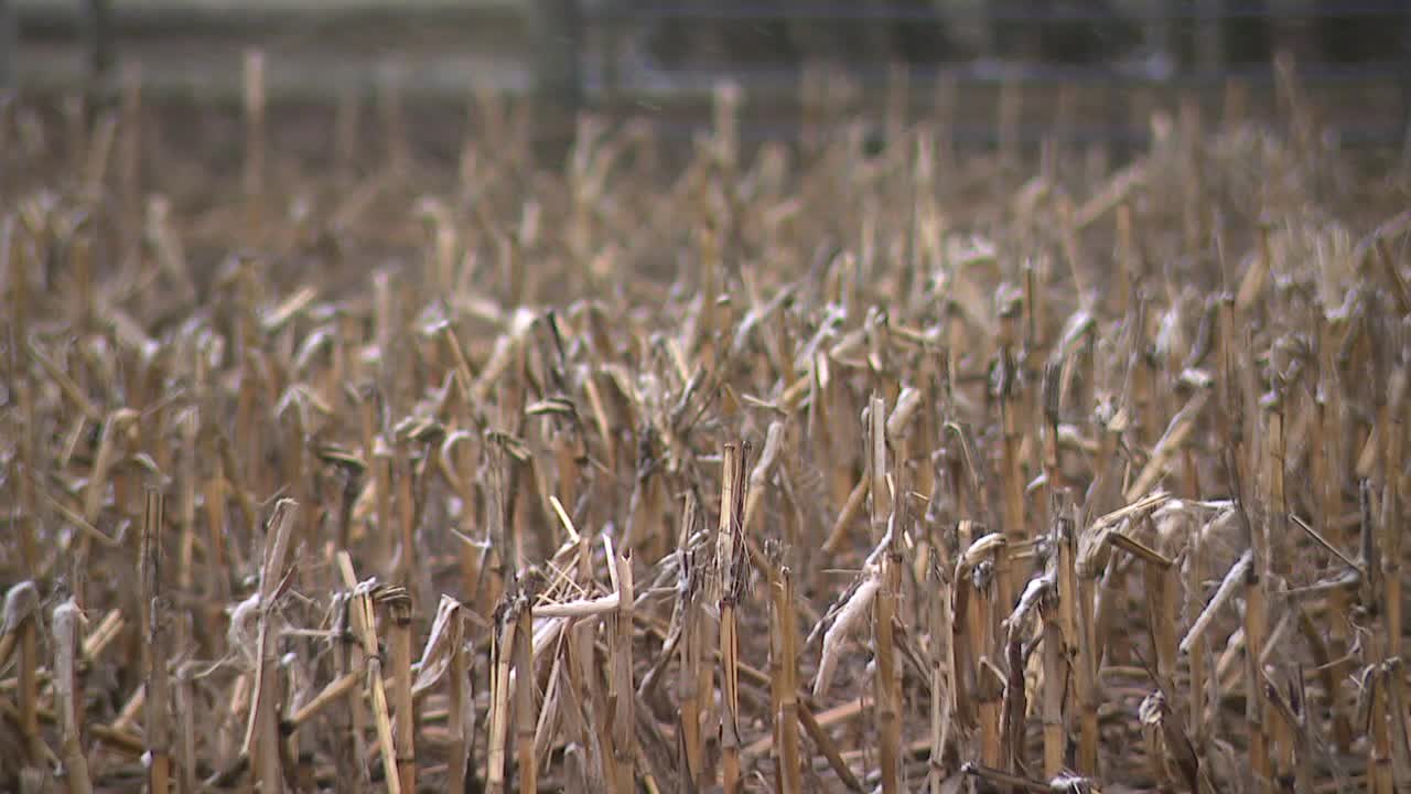 Iran tensions worry Wisconsin farmers over fertilizer prices, groceries