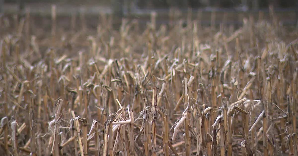 Iran tensions worry Wisconsin farmers over fertilizer prices, groceries