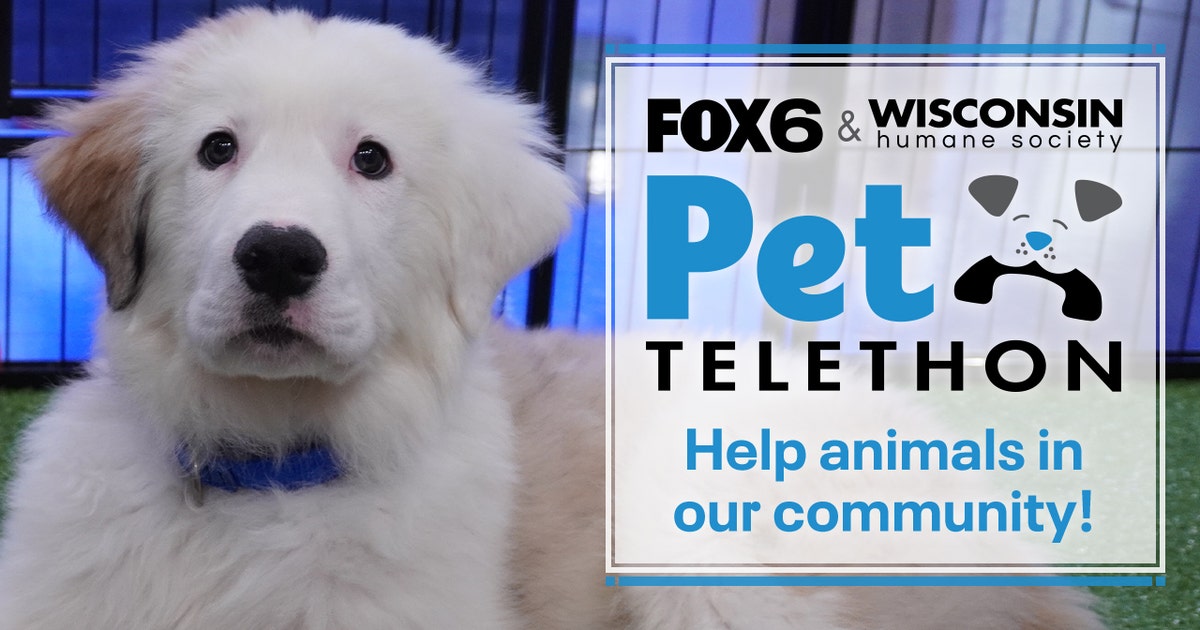 FOX6, Wisconsin Humane Society pet telethon set for Friday, March 20