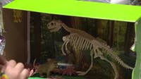 Milwaukee Public Museum diorama-RAMA; celebration through April 17