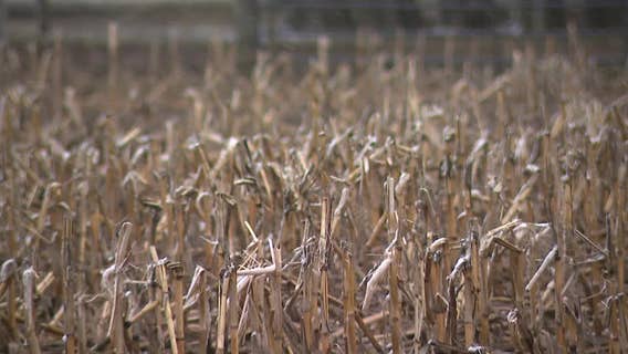 Iran tensions worry Wisconsin farmers over fertilizer prices, groceries