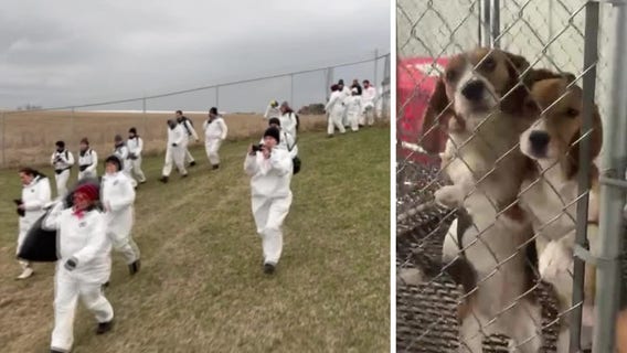 Ridglan Farms break-in, animal rights activists storm facility