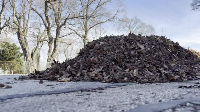 Milwaukee spring leaf cleanup deadline Sunday, March 15