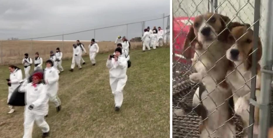 Ridglan Farms break-in, animal rights activists storm facility