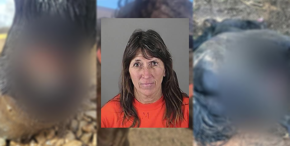 Mukwonago horse farmer ordered to surrender animals in weapons case