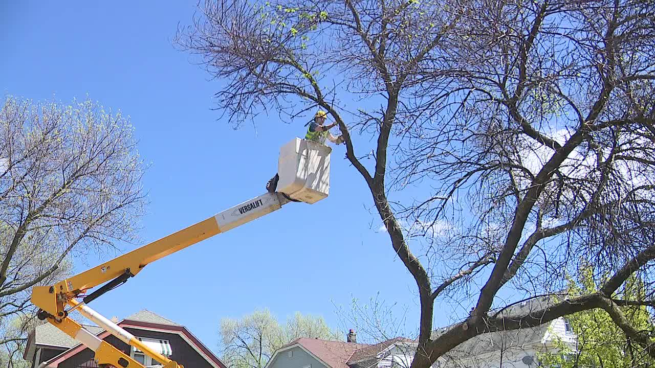 Milwaukee storm damage: DPW crews field hundreds of service calls