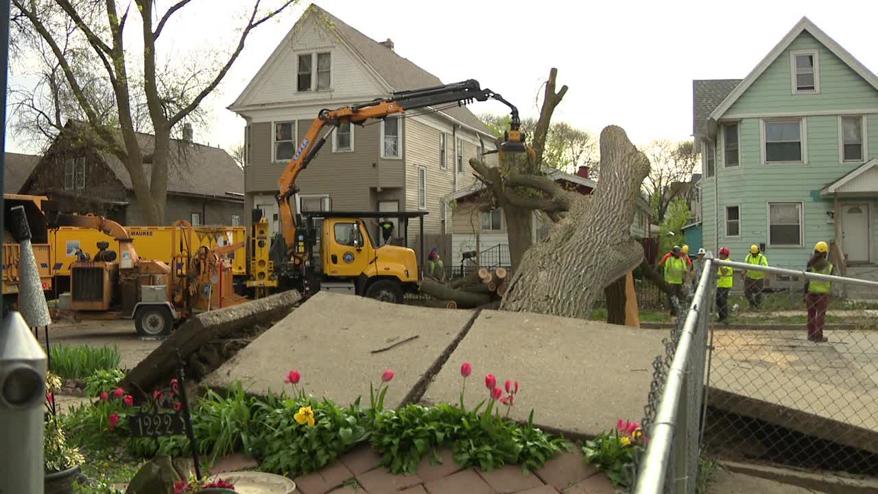 Milwaukee storm damage: DPW crews field hundreds of service calls