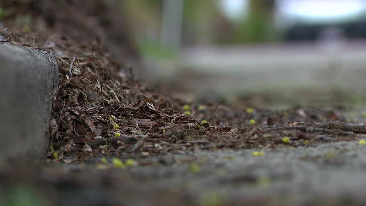 Milwaukee fall leaf collection; efforts to improve operations