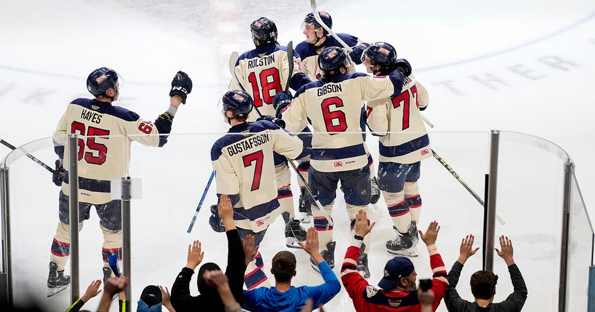 Milwaukee Admirals complete comeback, beat Wolves in shootout | FOX6 ...