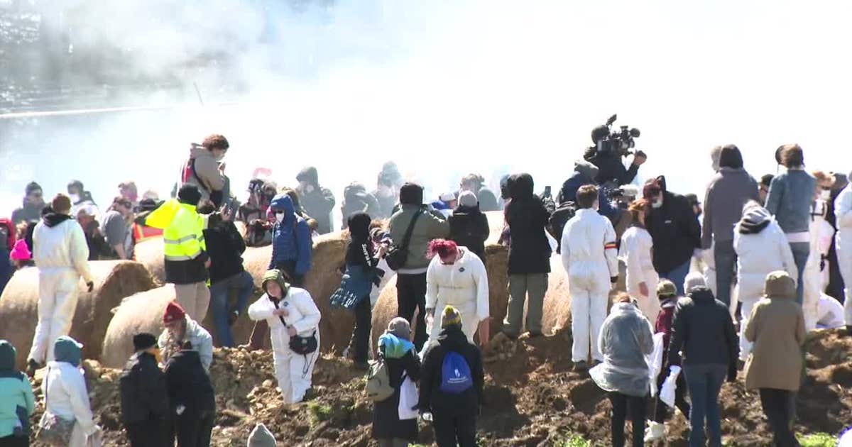 Activists' attempt to storm Ridglan Farms ends with arrests