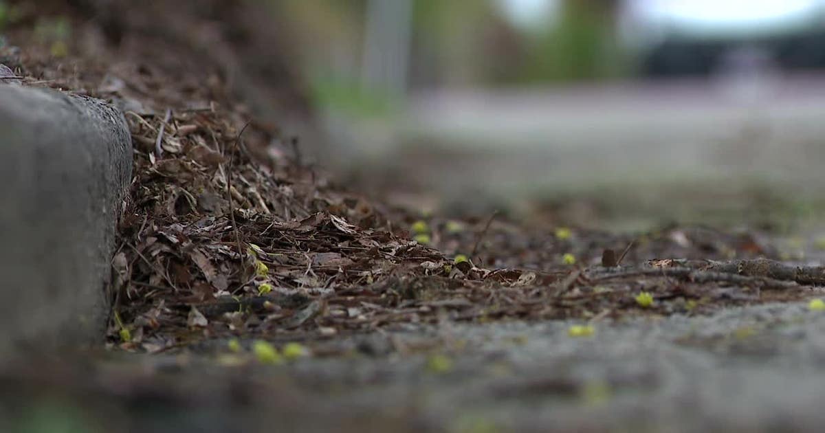 Milwaukee fall leaf collection; efforts to improve operations, service delivery