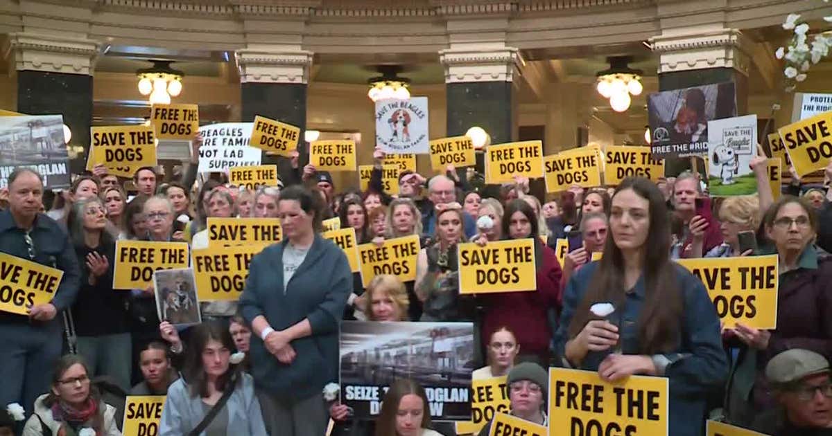 Ridglan Farms activists protest at capitol, political figures weigh in