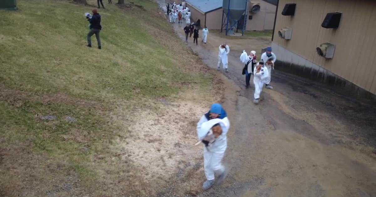 Ridglan Farms activists plan return amid increased security measures
