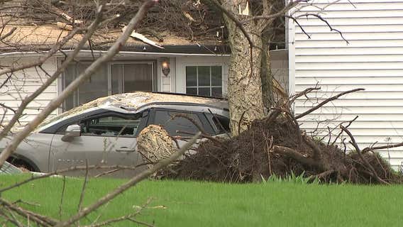 Racine County storm damage leaves cleanup underway in Waterford