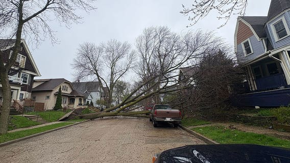 Wind gusts slam SE Wisconsin; power knocked out, trees toppled