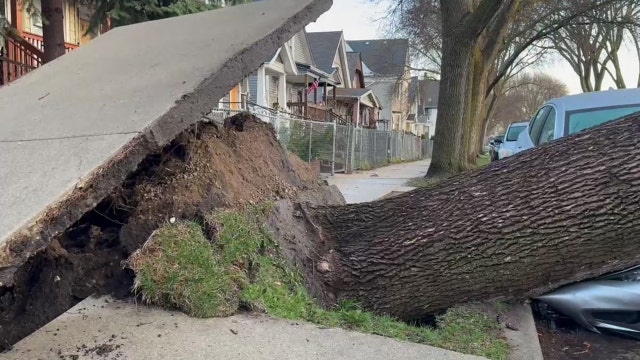 Southeast Wisconsin severe weather: View, submit pictures of storm damage