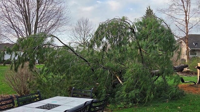 Wisconsin storm debris, wildfire risk increased despite heavy rain